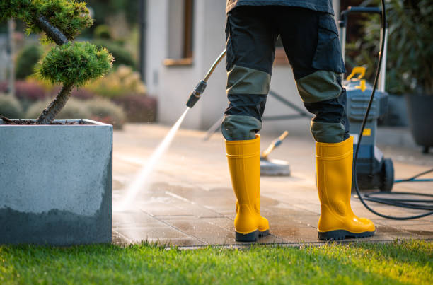 Best House Pressure Washing  in Thorntown, IN